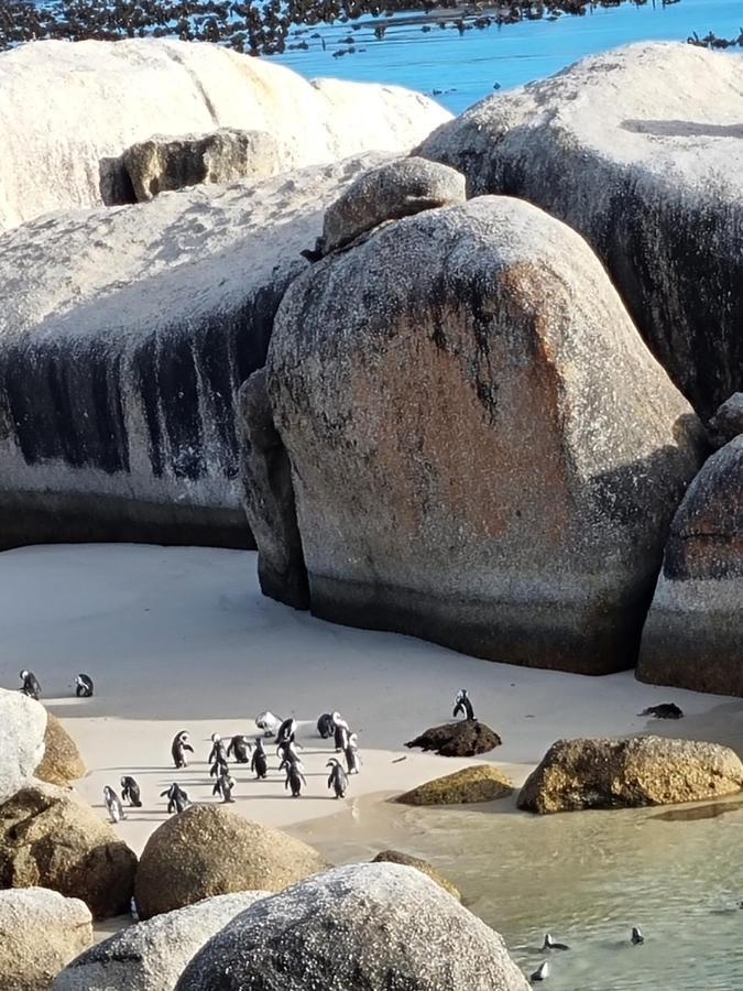 Boulders Beach House Simonʼs Town エクステリア 写真